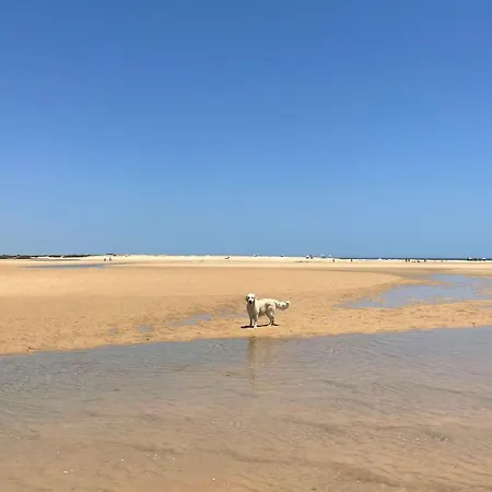 Dom wakacyjny Dona Maria 66 Praia Da Luz