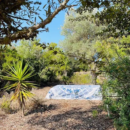 Holiday home Dona Maria 66