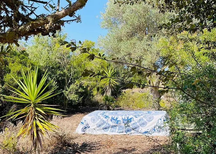 Tatil Evi Dona Maria 66