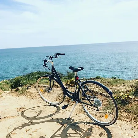 Prázdninový dům Dona Maria 66